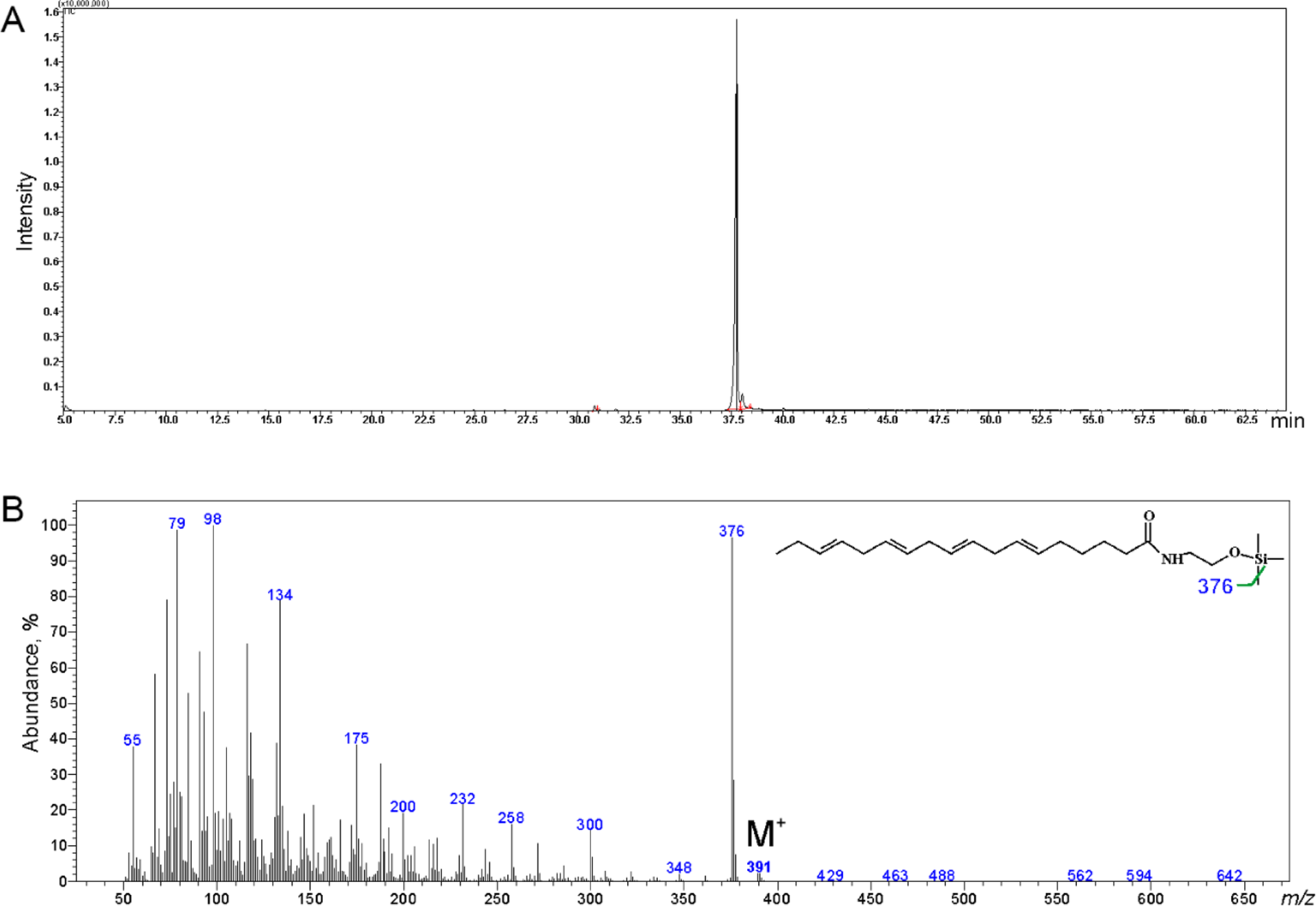 Anti-Inflammatory Potential of Stearidonic Acid Ethanolamide in a Model of Mild Traumatic Brain Injury in Mice