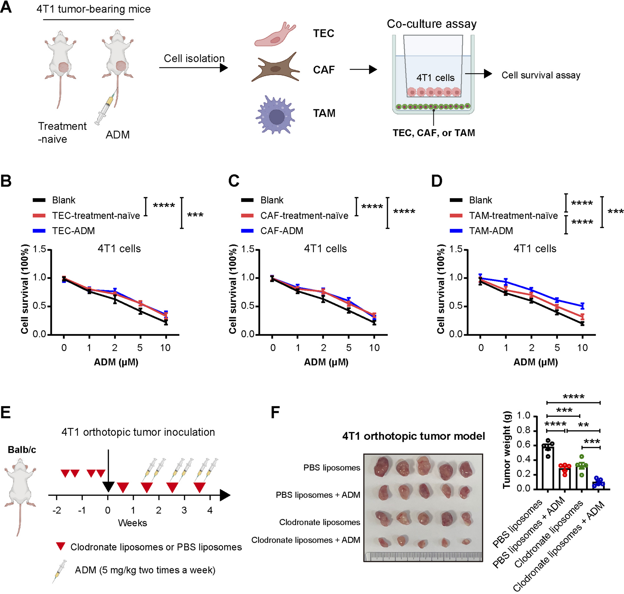 Targeting senescence-like tumor-associated macrophages sensitizes chemotherapy in triple-negative breast cancer