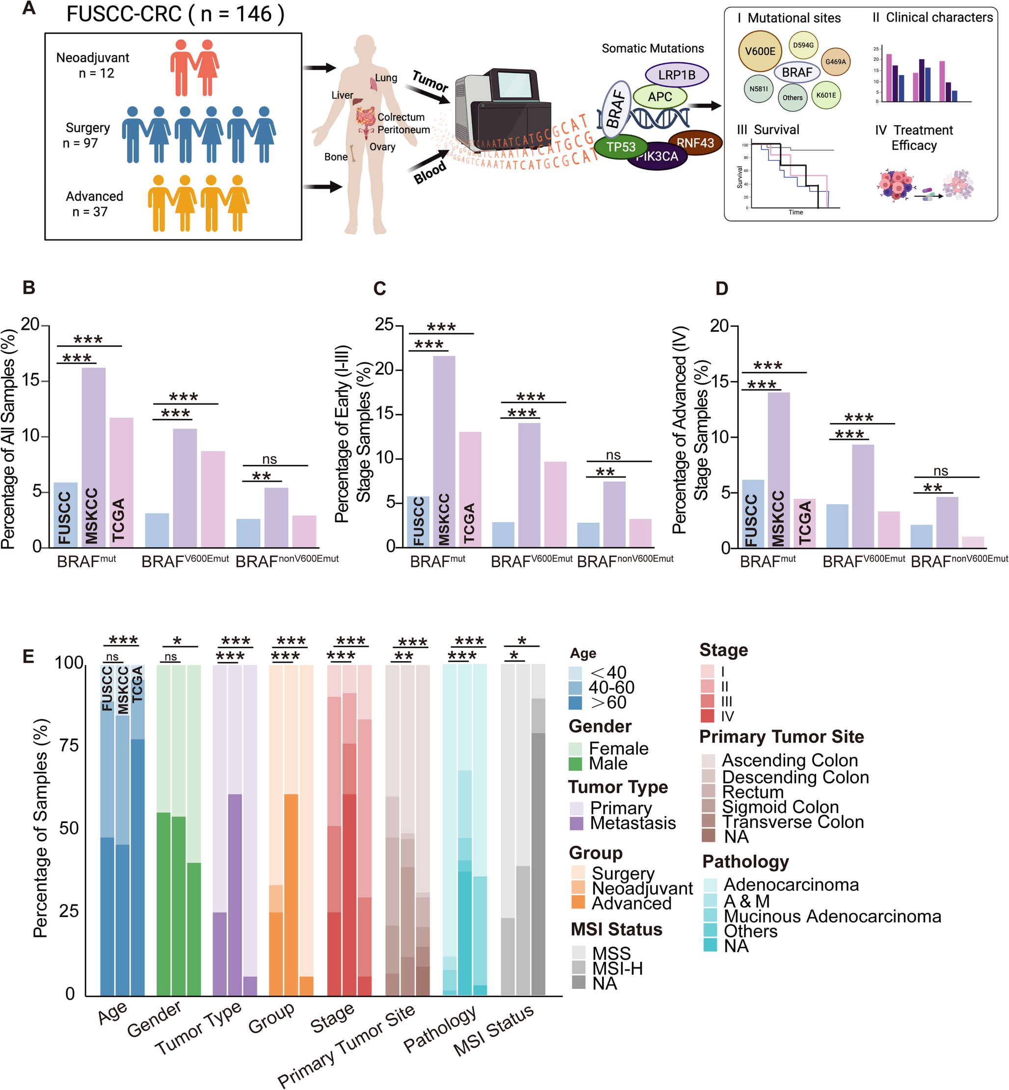 Distinct clinical and genomic profiles of braf mutation subtypes in Chinese colorectal cancer: a retrospective cohort study with cross-population validation