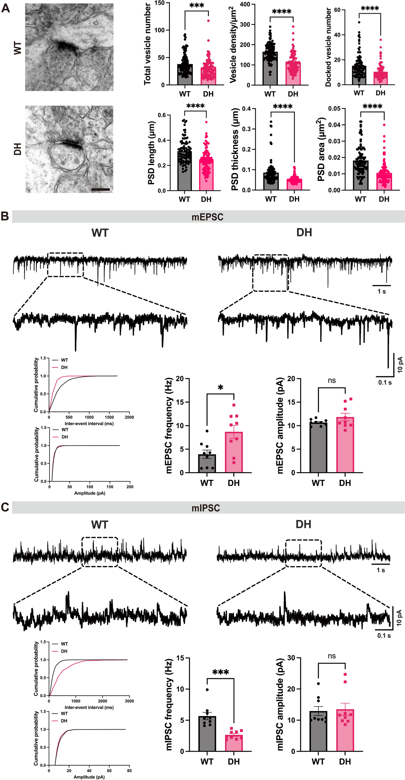 Elevation of HS Underlies Social Deficits in Environmental Factor Double-Hit Autism Model
