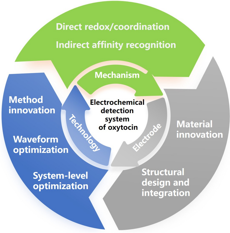 Electrochemical Detection of Oxytocin: Challenges and Prospects