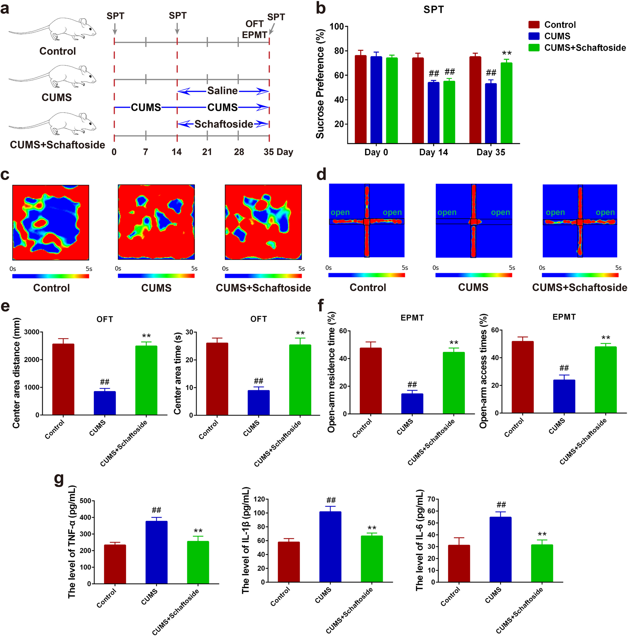 Schaftoside inhibits neuroinflammation and exerts antidepressant effects through METTL3-mediated m6A modification of circ_0001470 sponging miR-183-5p to regulate MAP3K1 expression
