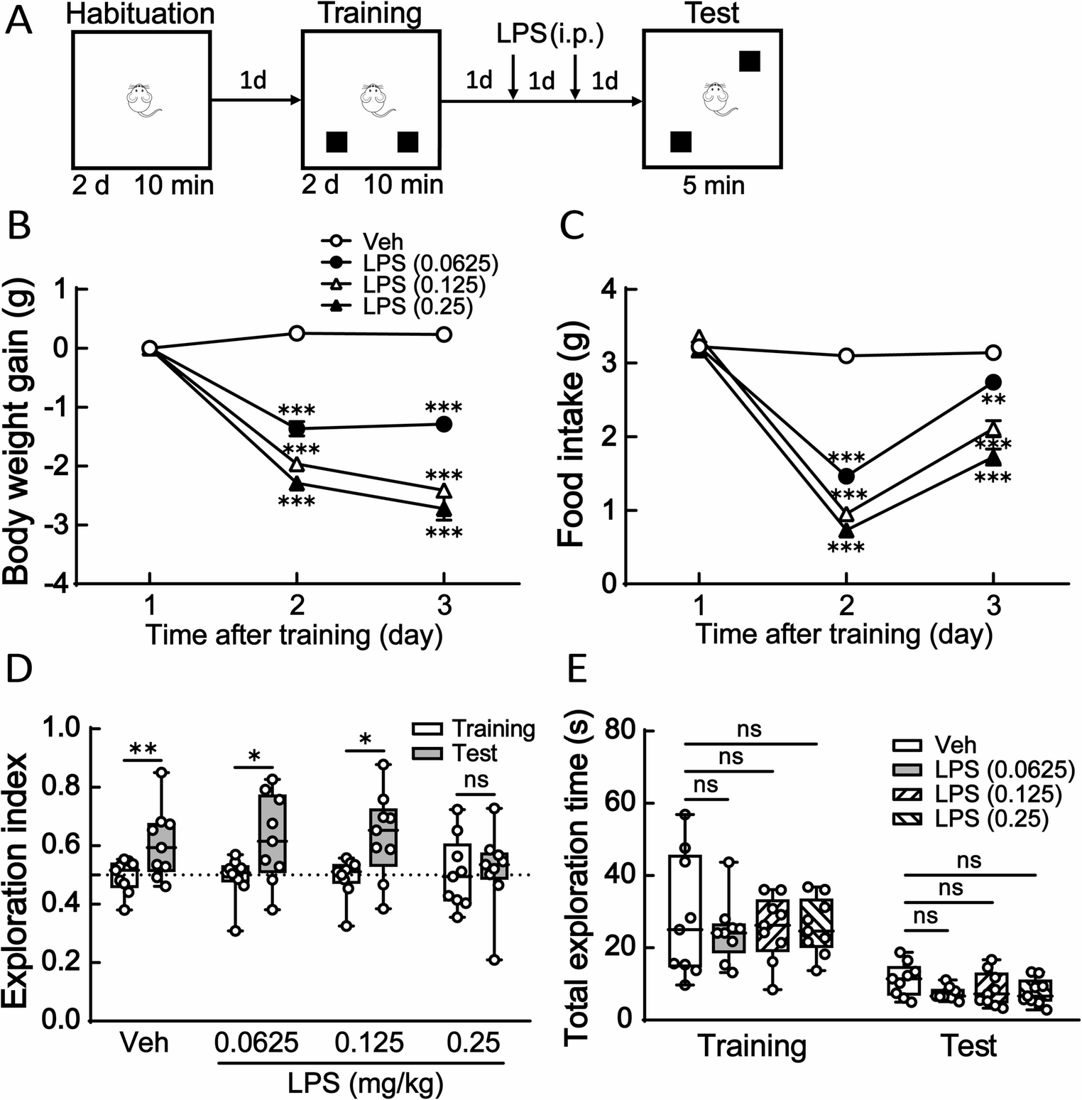 Integrated stress response inhibition rescues inflammation-associated accelerated forgetting of recognition memory in mice