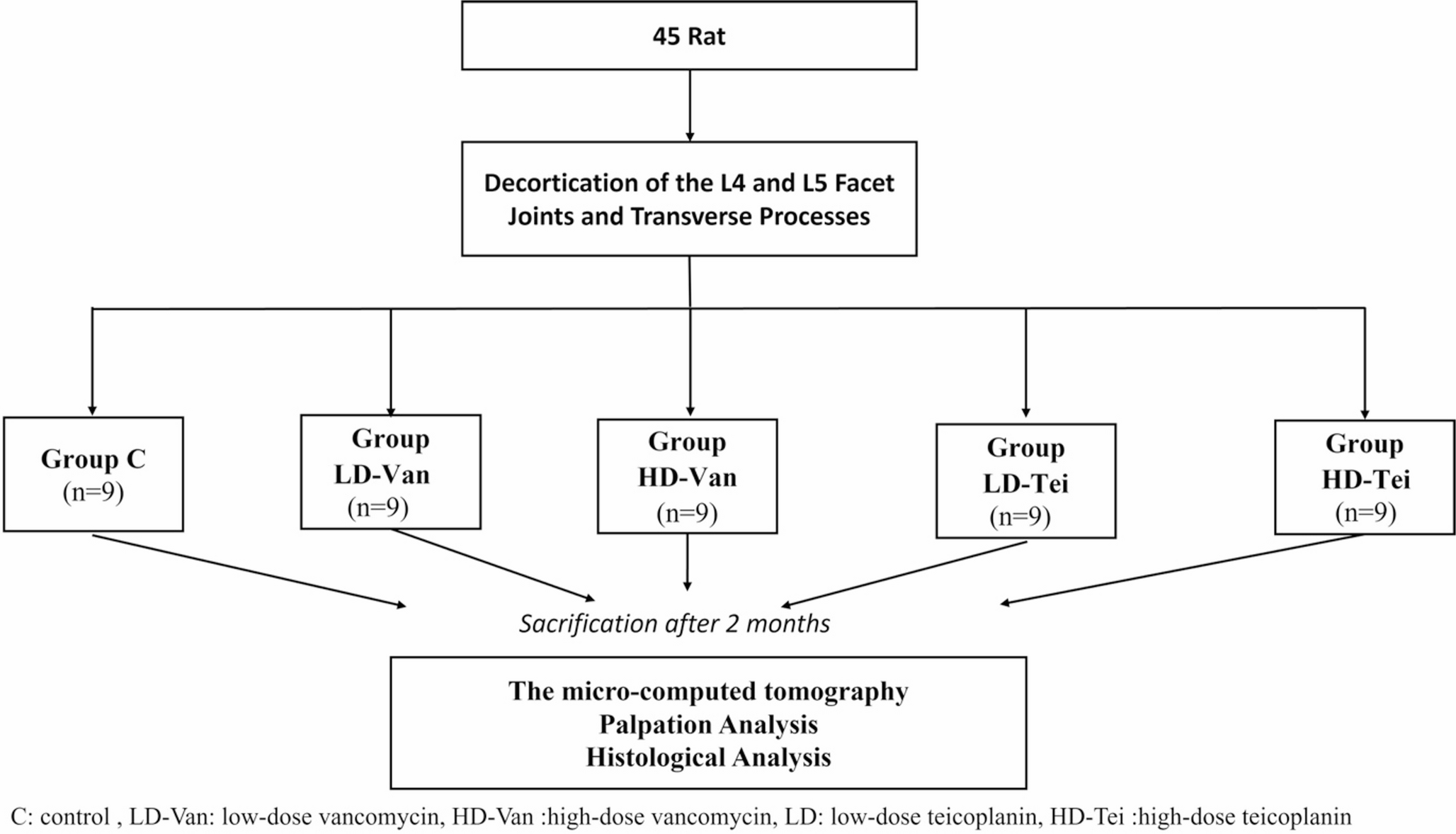 Comparative effects of locally applied vancomycin and teicoplanin on bone formation and spinal fusion rates: an experimental study