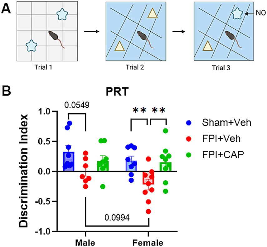 Sex differences in neurobehavior and the adult hippocampal neurogenic niche: influence of traumatic brain injury and CLIP antagonism