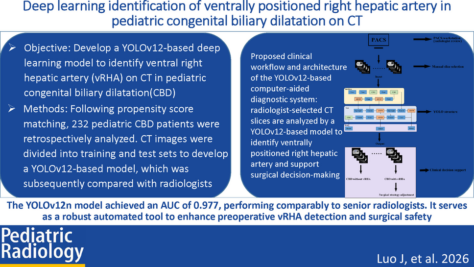 Deep learning model for automated identification of ventrally positioned right hepatic artery in contrast-enhanced computed tomography of pediatric congenital biliary dilatation: development and clinical application
