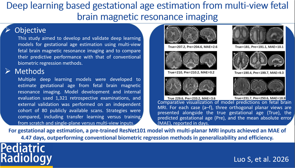 Deep learning based gestational age estimation from multi-view fetal brain magnetic resonance imaging