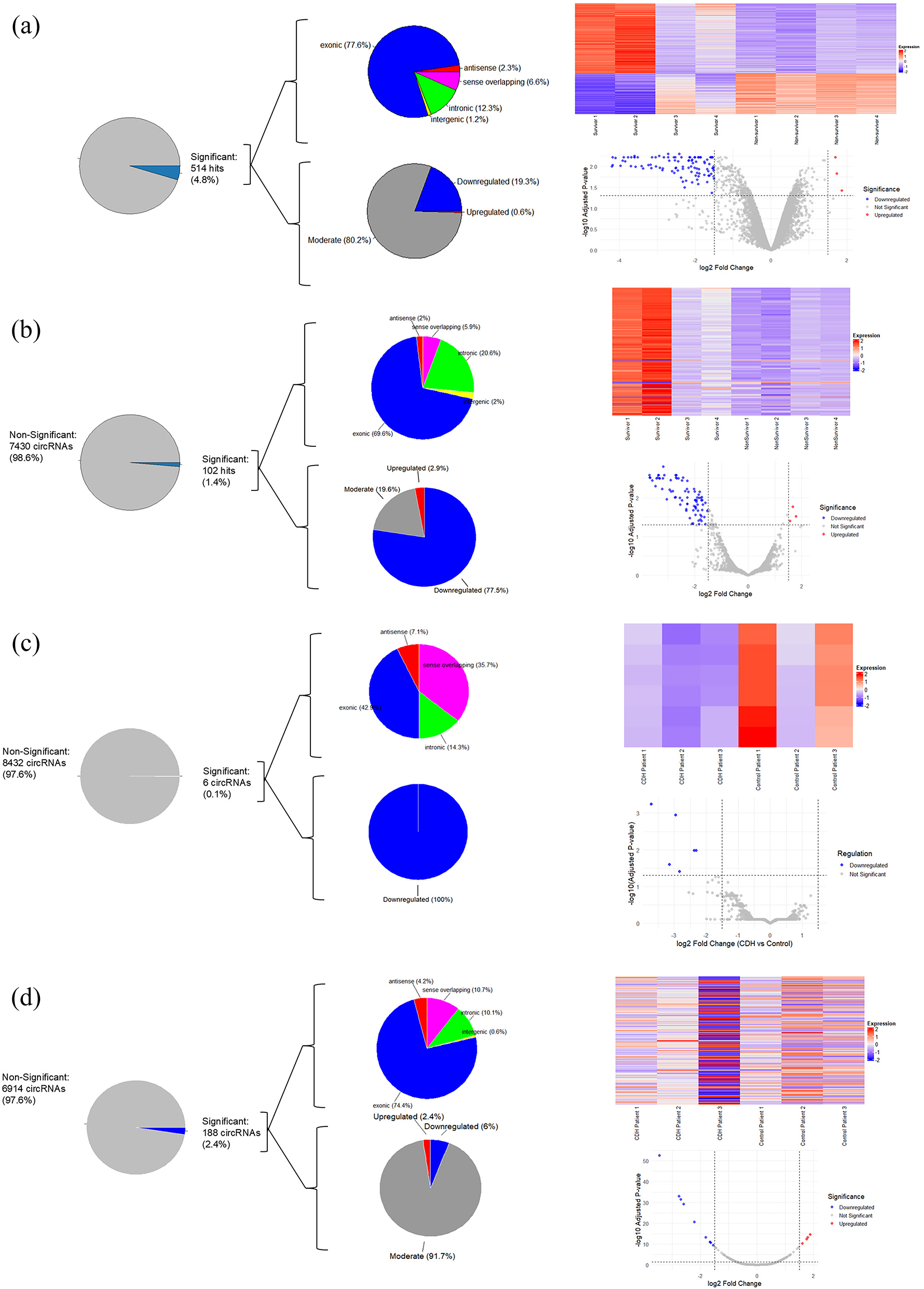 Profiling circular RNAs in amniotic fluid and fetal lungs from congenital diaphragmatic hernia cases: insights into potential prognostic and diagnostic applications