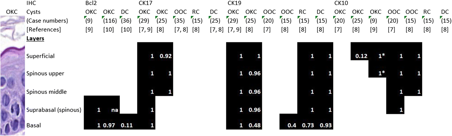 A Clinicopathological Approach to Odontogenic Cysts: the Role of Cytokeratin 17 and bcl2 Immunohistochemistry in Identifying Odontogenic Keratocysts