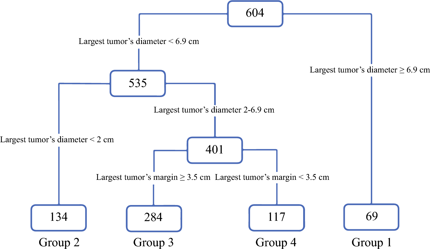The Margin of the Largest Tumor Predicts Overall Survival After Resection of Multitumor Colorectal Liver Metastases
