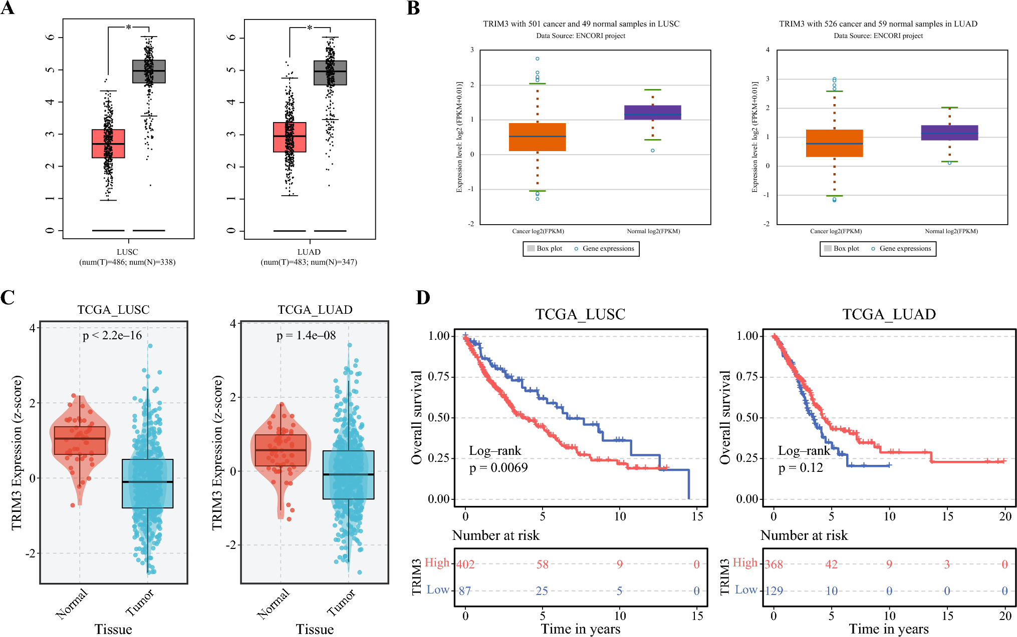 TRIM3 Suppresses Tumor Progression in Non-small-Cell Lung Cancer by Promoting PD-L1 Ubiquitination and Degradation