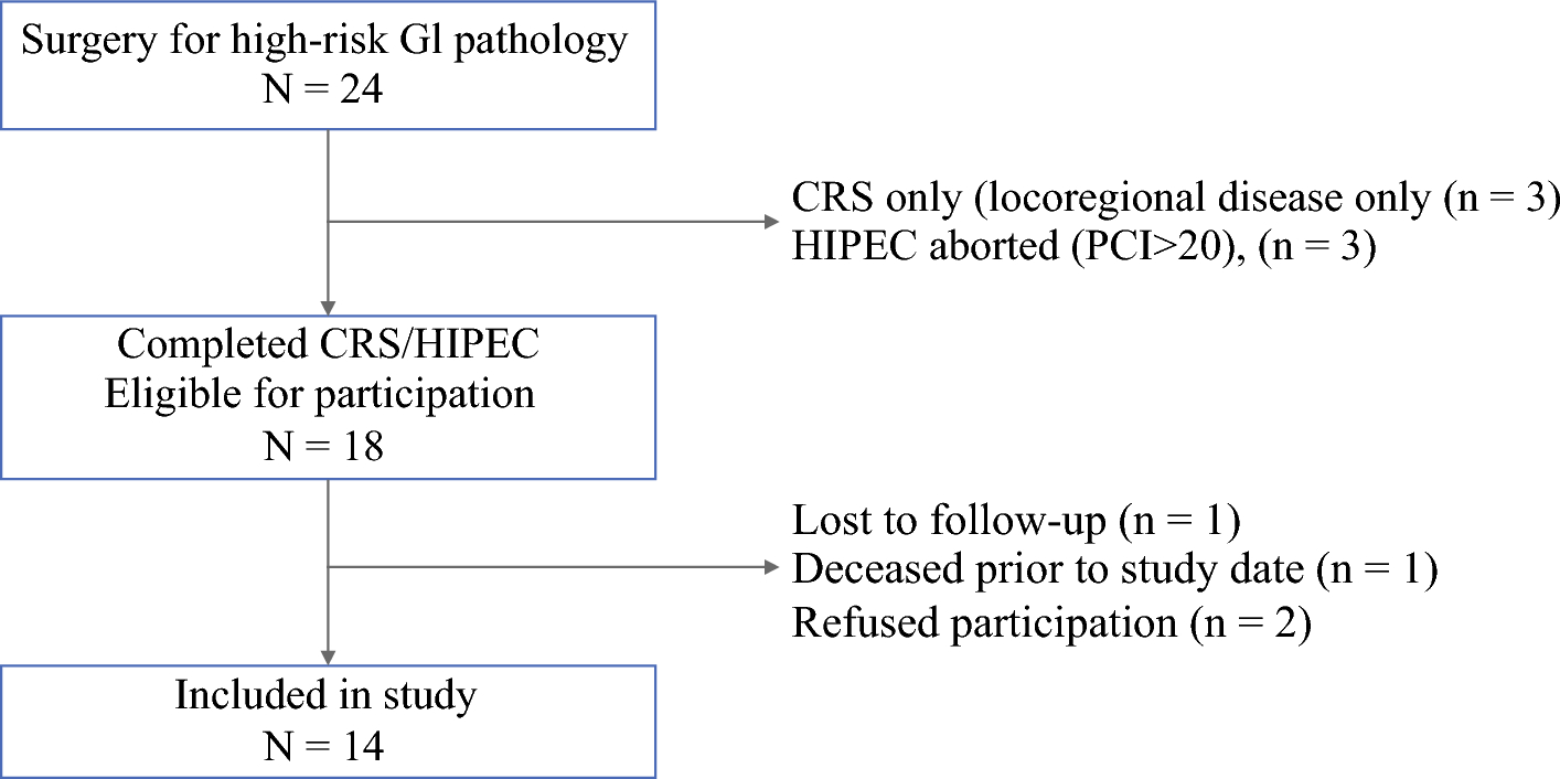 Patients’ Lived Experiences After Cytoreductive Surgery and HIPEC for Peritoneal Carcinomatosis from GI Malignancies: A Qualitative Study