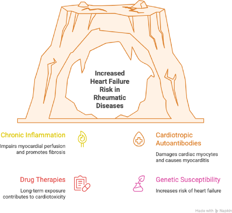 Heart failure in autoimmune rheumatic diseases