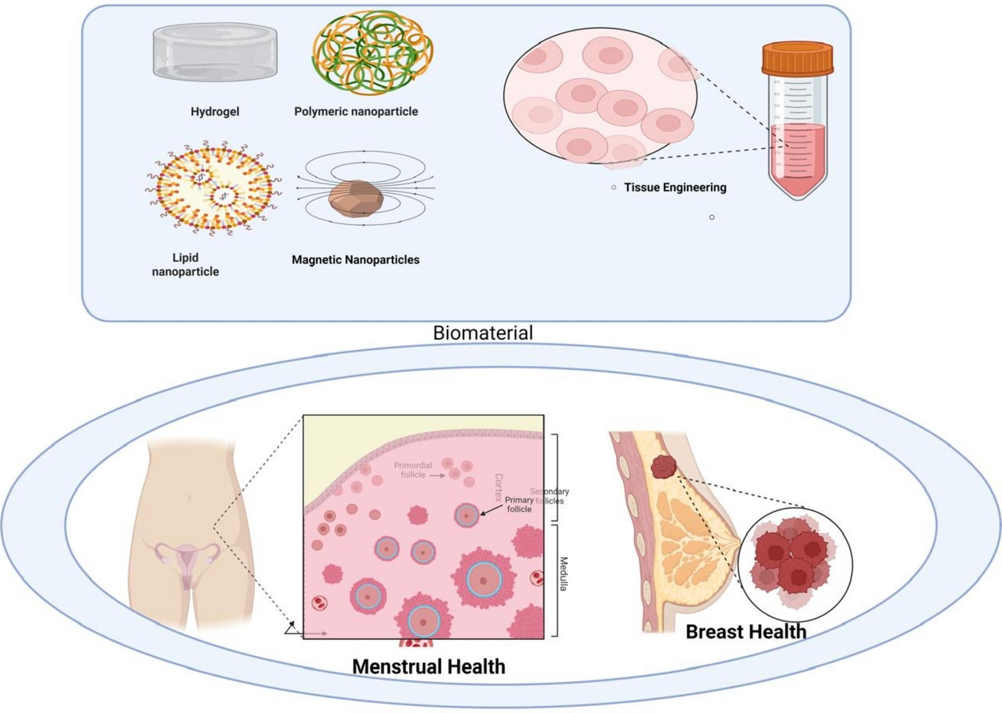 Biomaterials Empowering in New Era of Women's Healthcare System