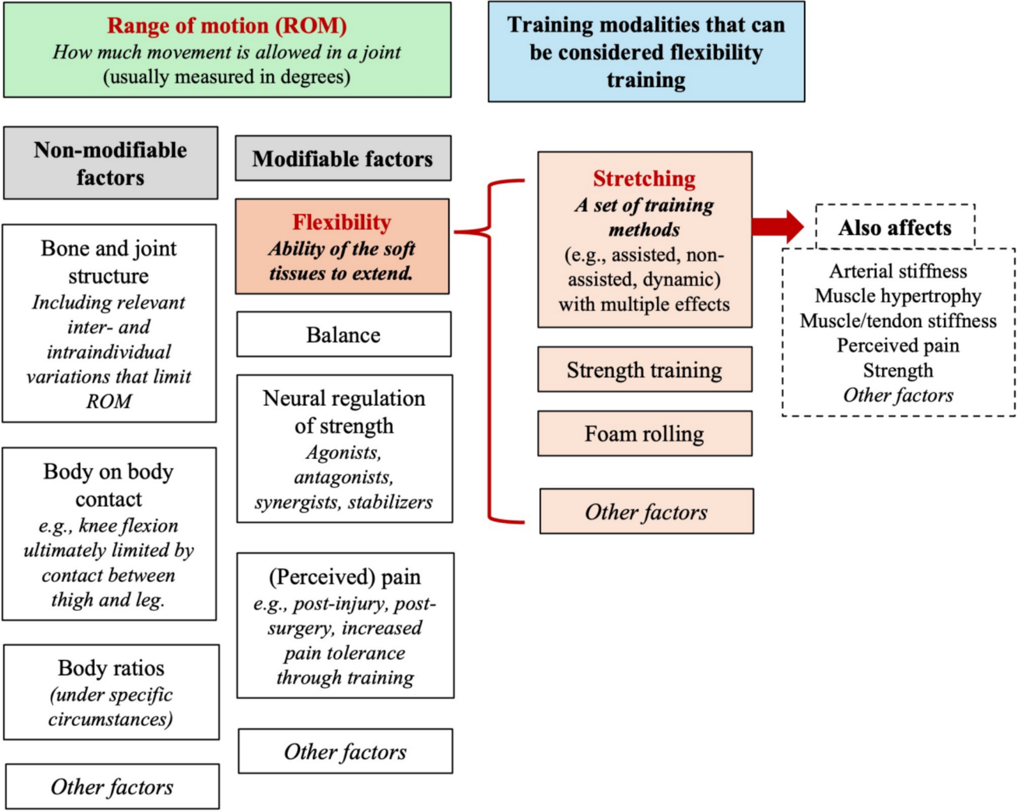 One of These Things Is Not Like the Others: Disentangling the Concepts of Range of Motion Versus Flexibility, and Flexibility Training Versus Stretching