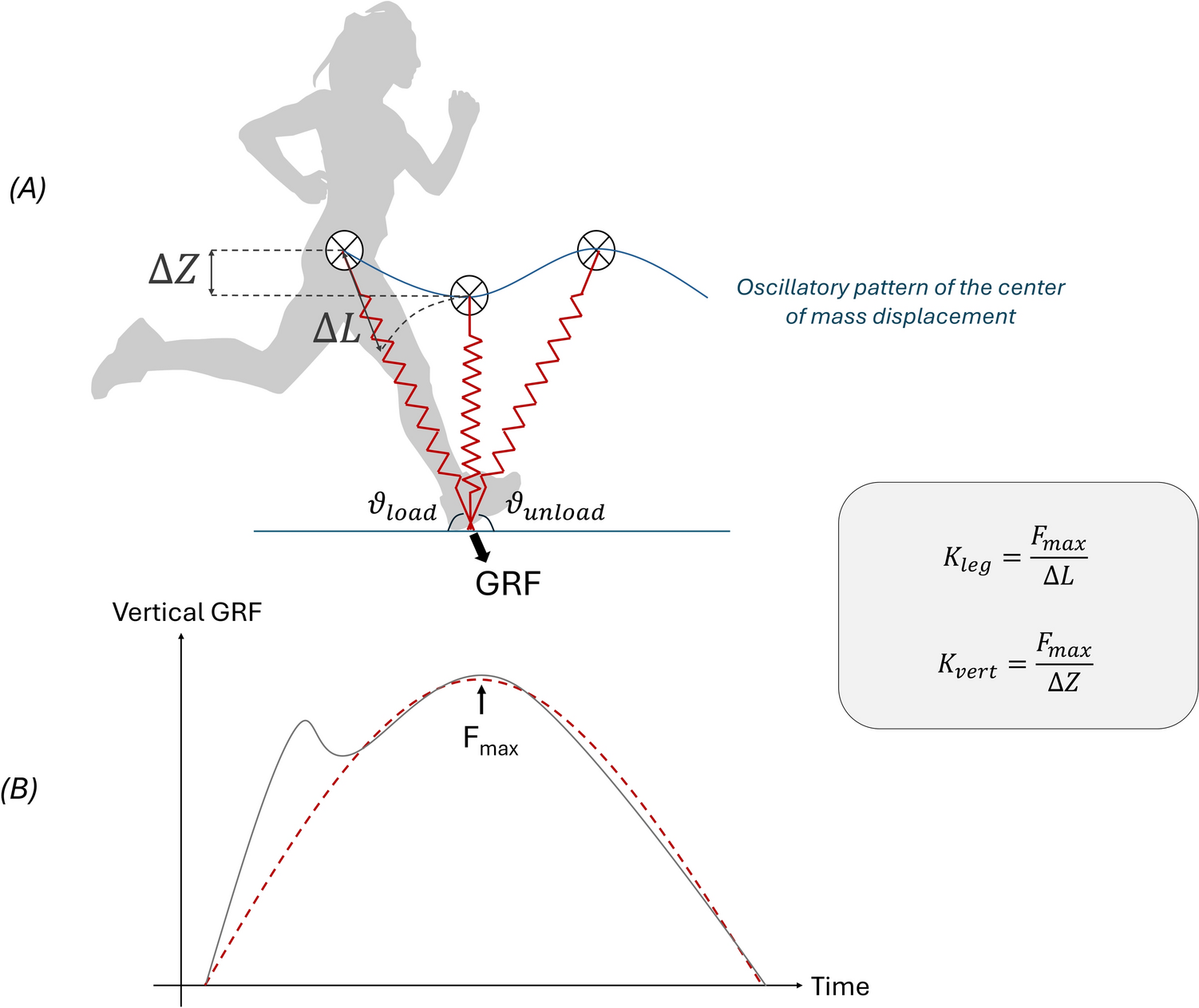 Stiffness and Running Performance: From the Tissue to the Body: A Narrative Review