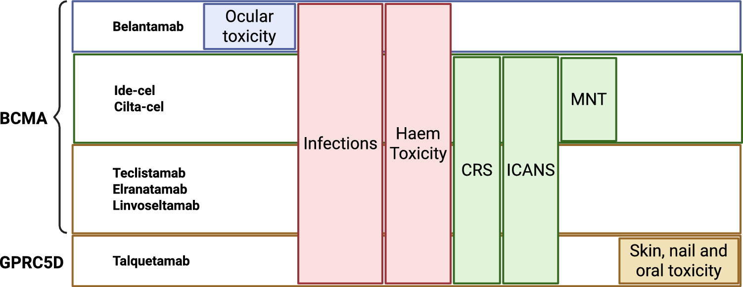 Antibody-Drug Conjugates, T-Cell Engager Bispecific Antibodies and Chimeric Antigen Receptor T Cells for Multiple Myeloma: What’s the Current Status?