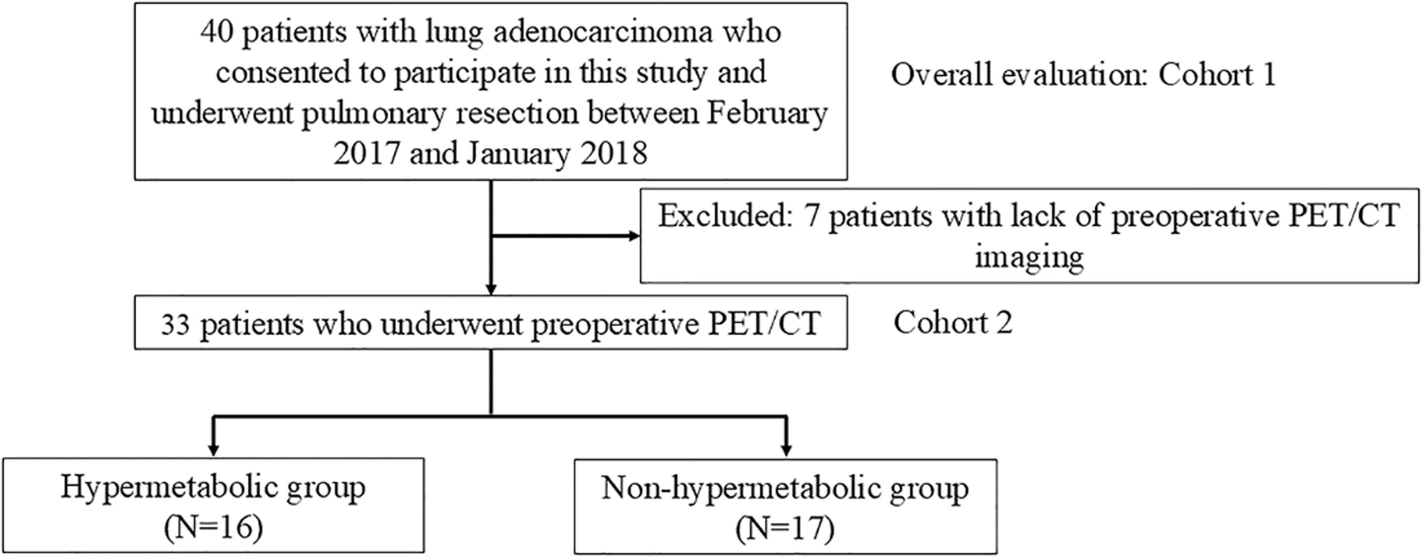 Elevated glucose metabolism via the hexosamine biosynthesis pathway: A metabolic signature of high-fluorodeoxyglucose-uptake lung adenocarcinoma