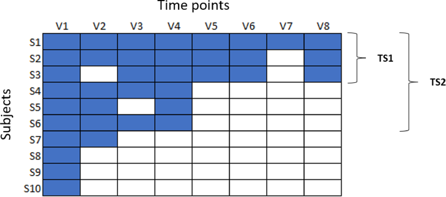 Enhancing Data Quality in Clinical Trials: Cross-Company Validation of the Open-Source Clinical Trial Anomaly Spotter (CTAS)