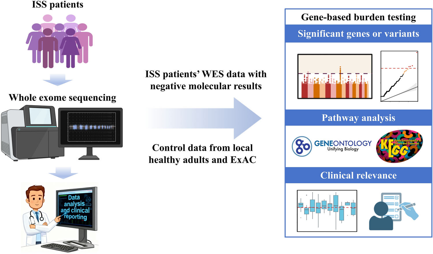 Gene-based burden testing implicates four novel susceptibility genes associated with isolated short stature in pediatric patients