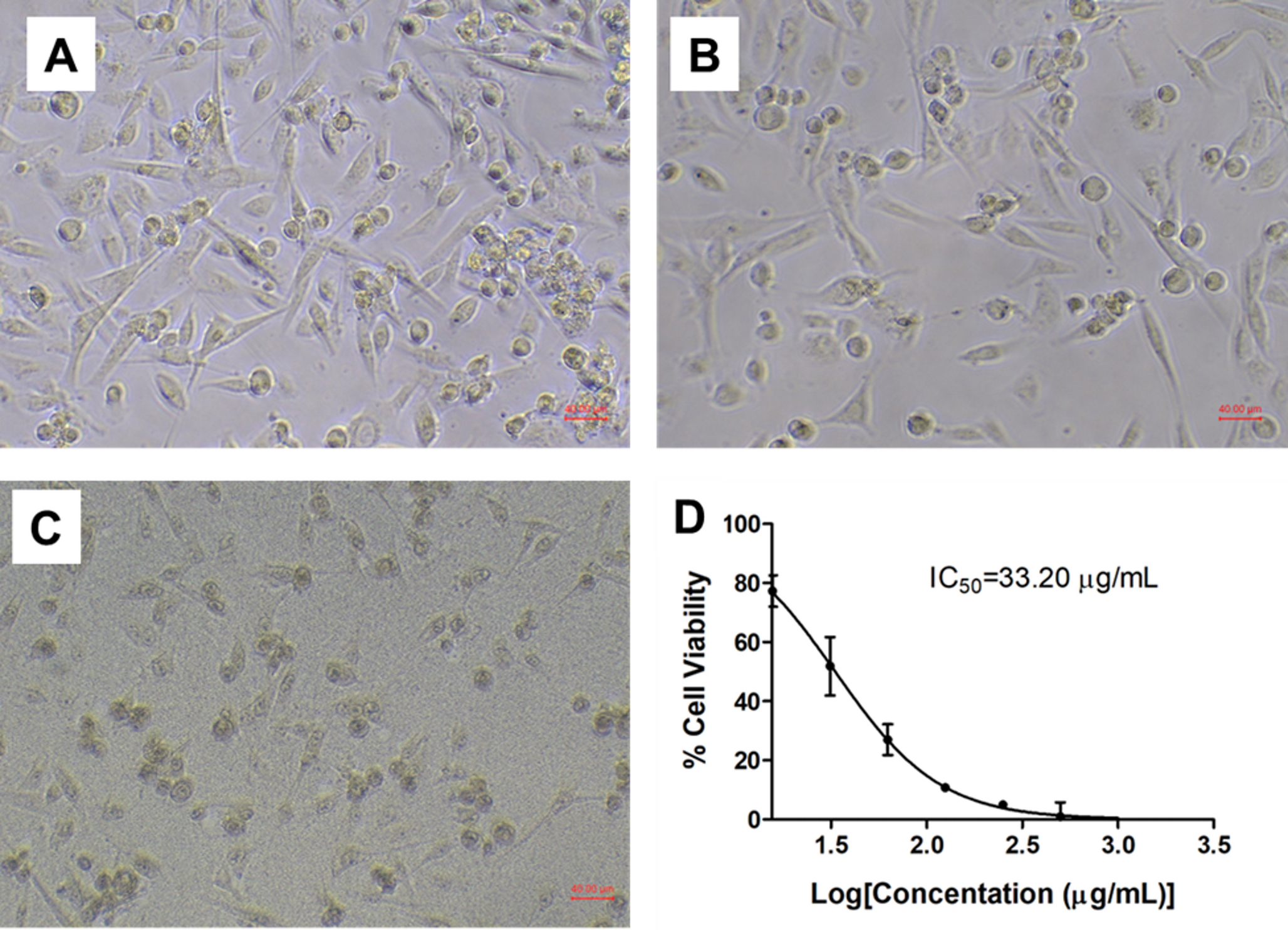 MDA-MB-231 Breast Cancer Cells Response to  Fruit Extract: An In Vitro and In Silico Investigation