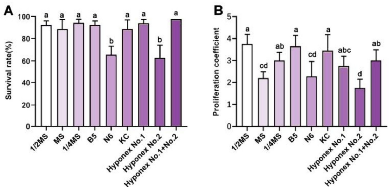 Developing a high-efficiency  propagation system for : Impact of decomposed squid on rhizome proliferation