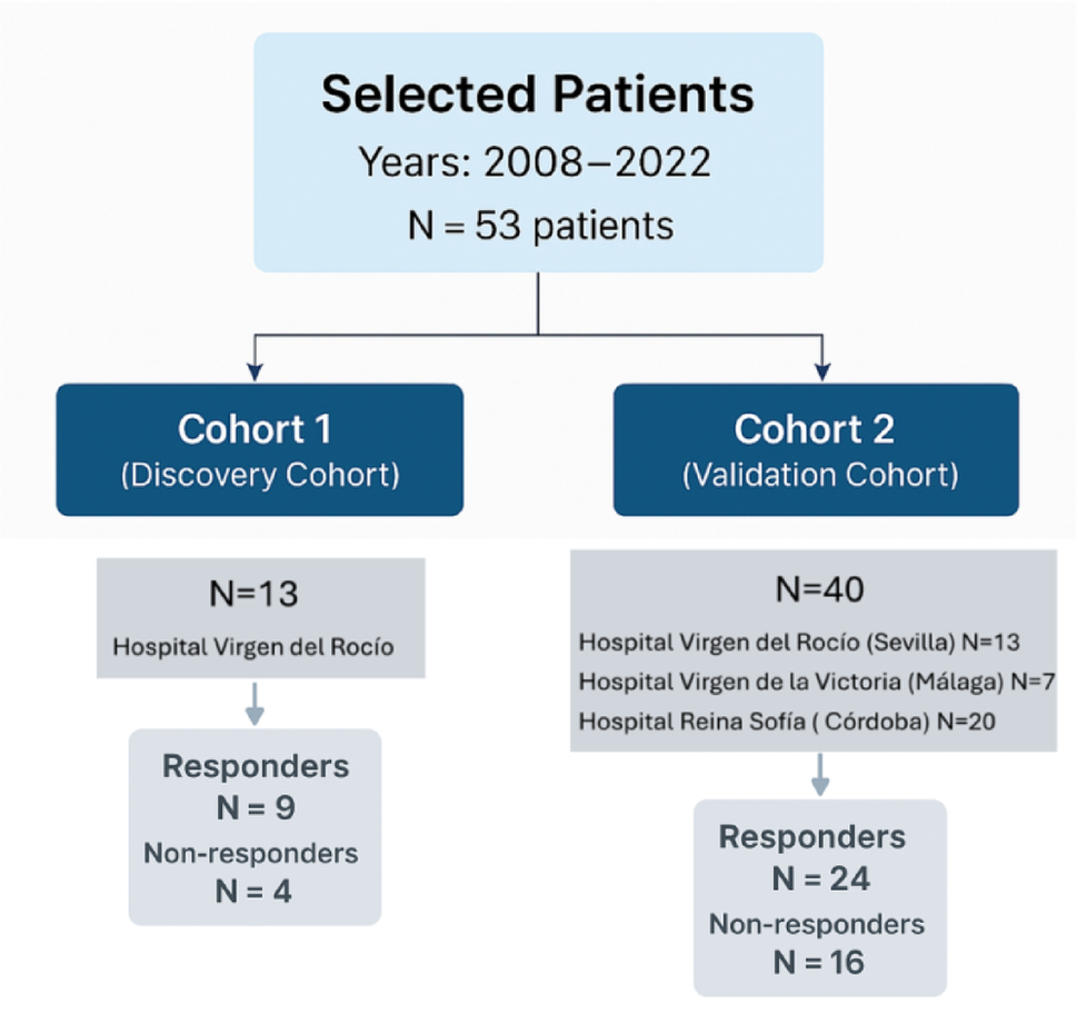 UGT2B17 as a predictive biomarker of complete pathological response in HER2 + breast cancer