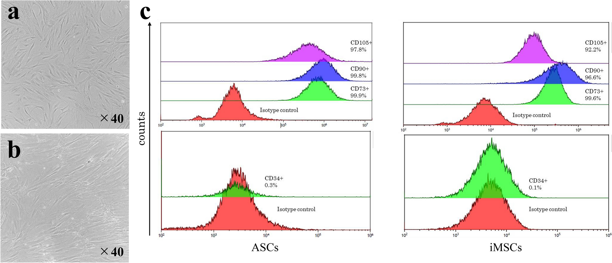 Efficacy of xeno-free induced mesenchymal stem/stromal cells in enhancing autologous fat graft survival