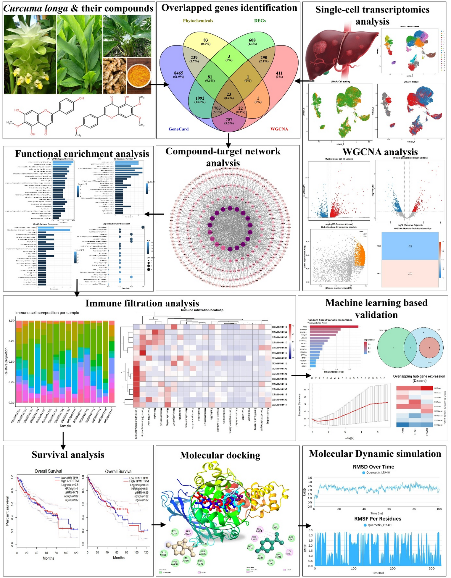 Single-Cell Transcriptomic Integration Identifies LTA4H as an Immune-Associated Therapeutic Target in Hepatocellular Carcinoma