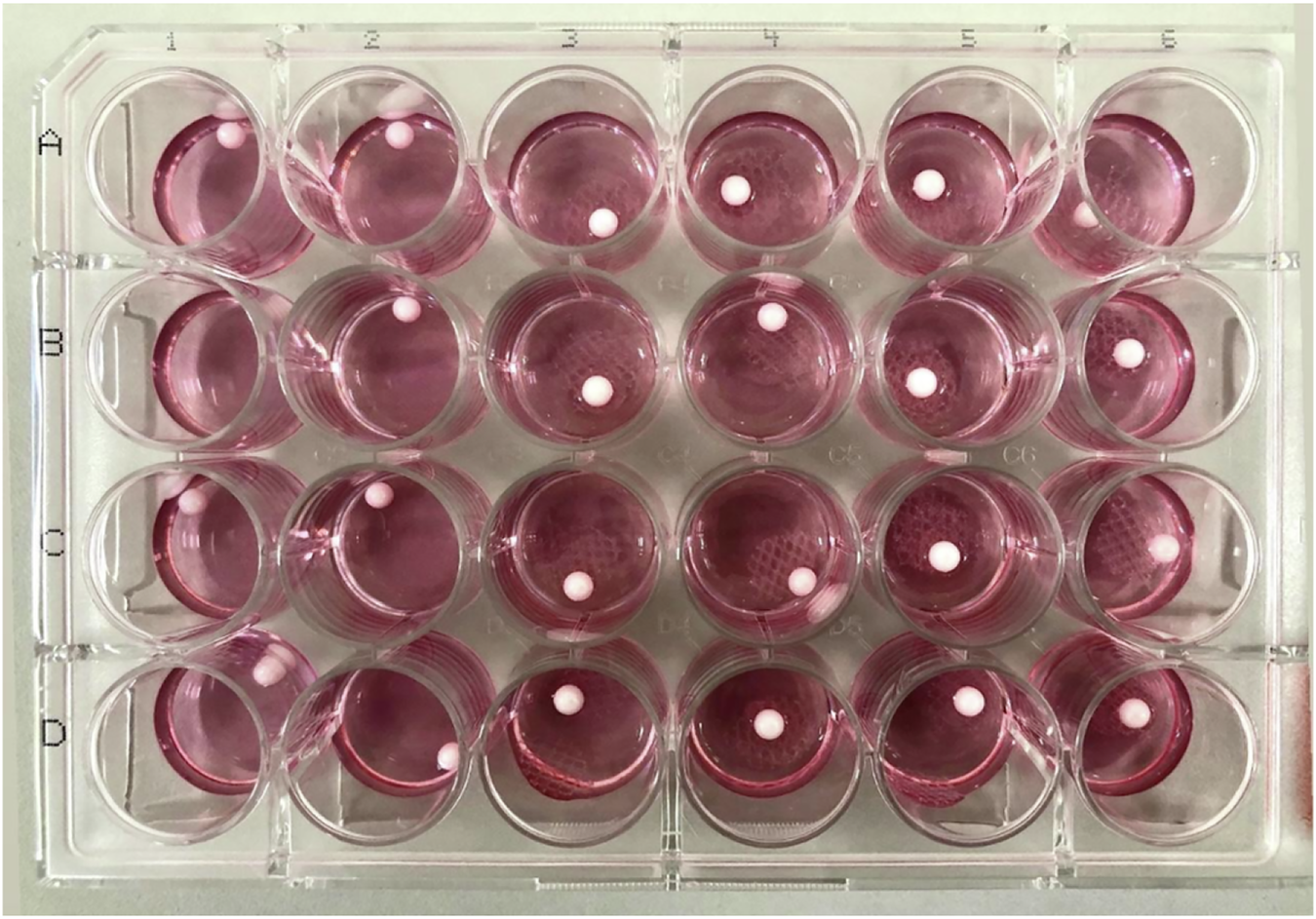 Non-Titanised Compared to Titanised Polypropylene Meshes Induce a Pro-Inflammatory and Anti-Angiogenic Response in Fibroblast Co-Cultures