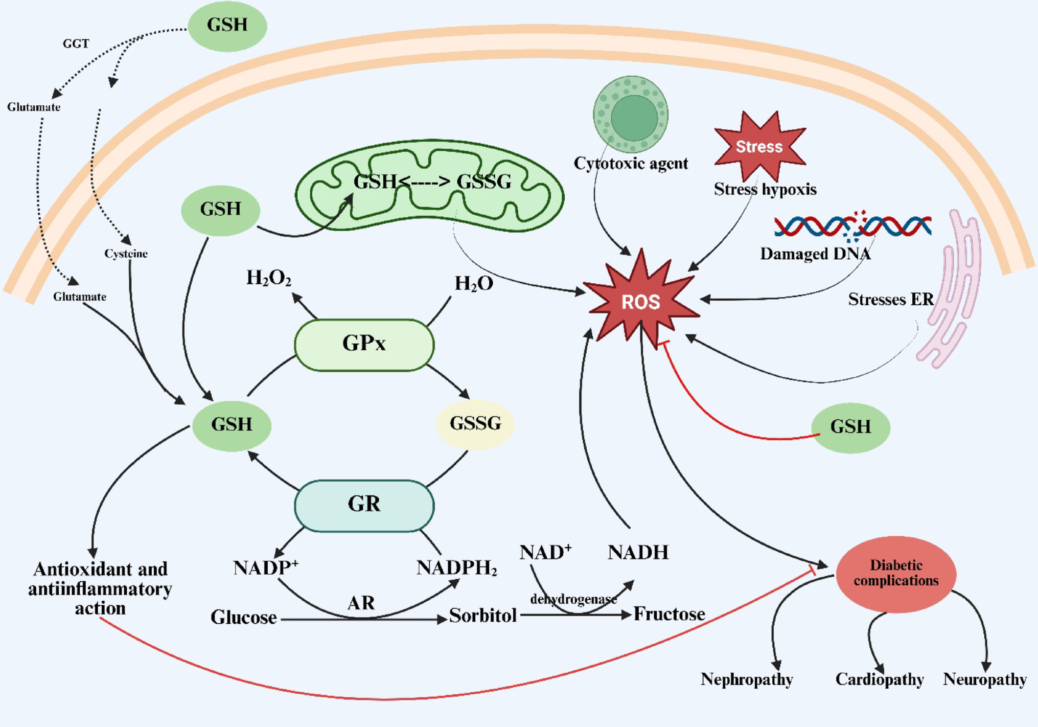 Glutathione at the Crossroads of Redox Homeostasis and Glucose Metabolism in Diabetes Mellitus