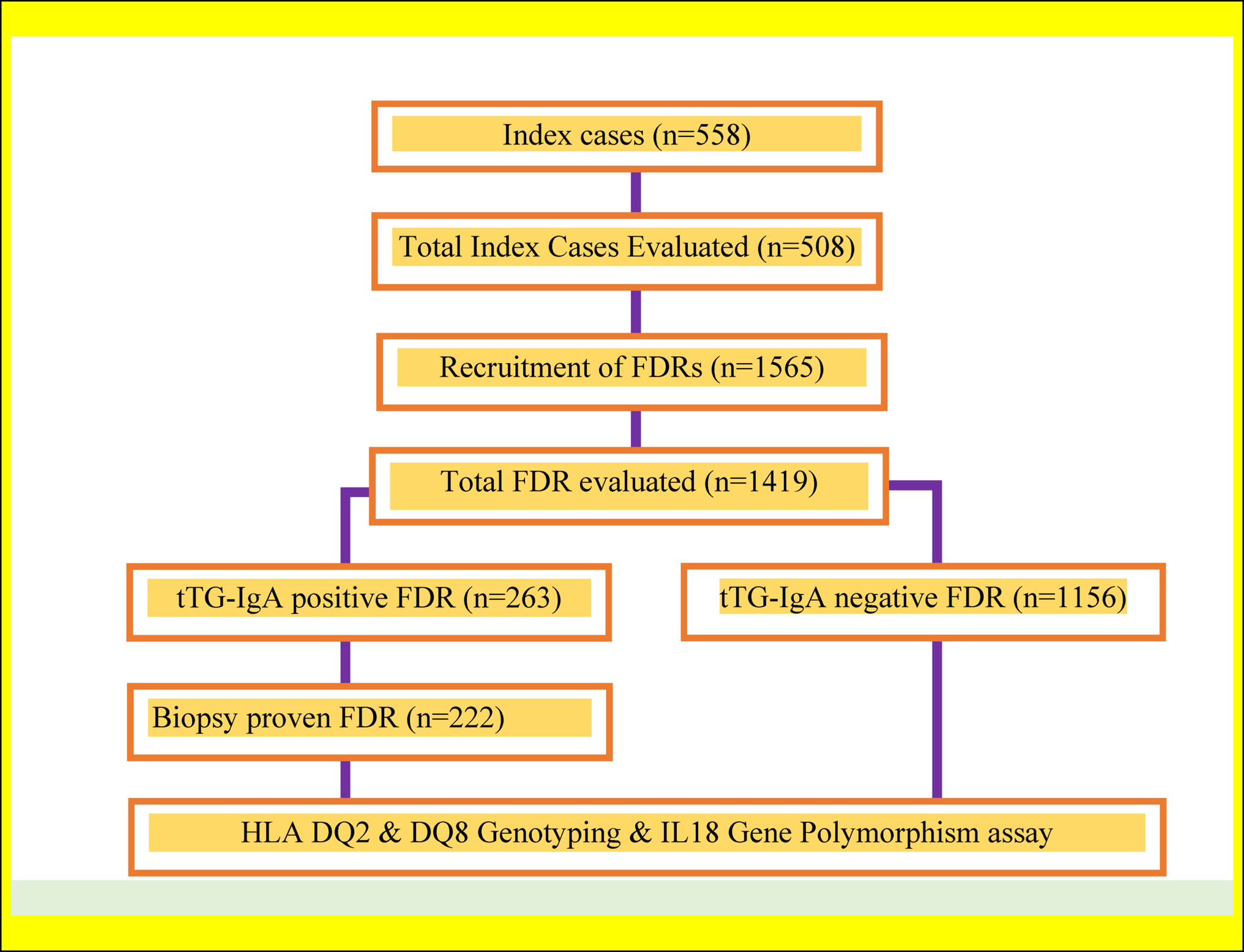 Interleukin 18 Gene Promoter Polymorphisms in Children with Celiac Disease and in Their First-Degree Relatives: Is There an Association?