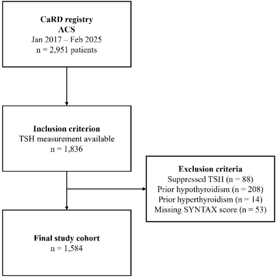 Thyroid function, coronary complexity, and socio-demographic determinants of outcomes after acute coronary syndrome: sex-specific analysis from the CaRD registry