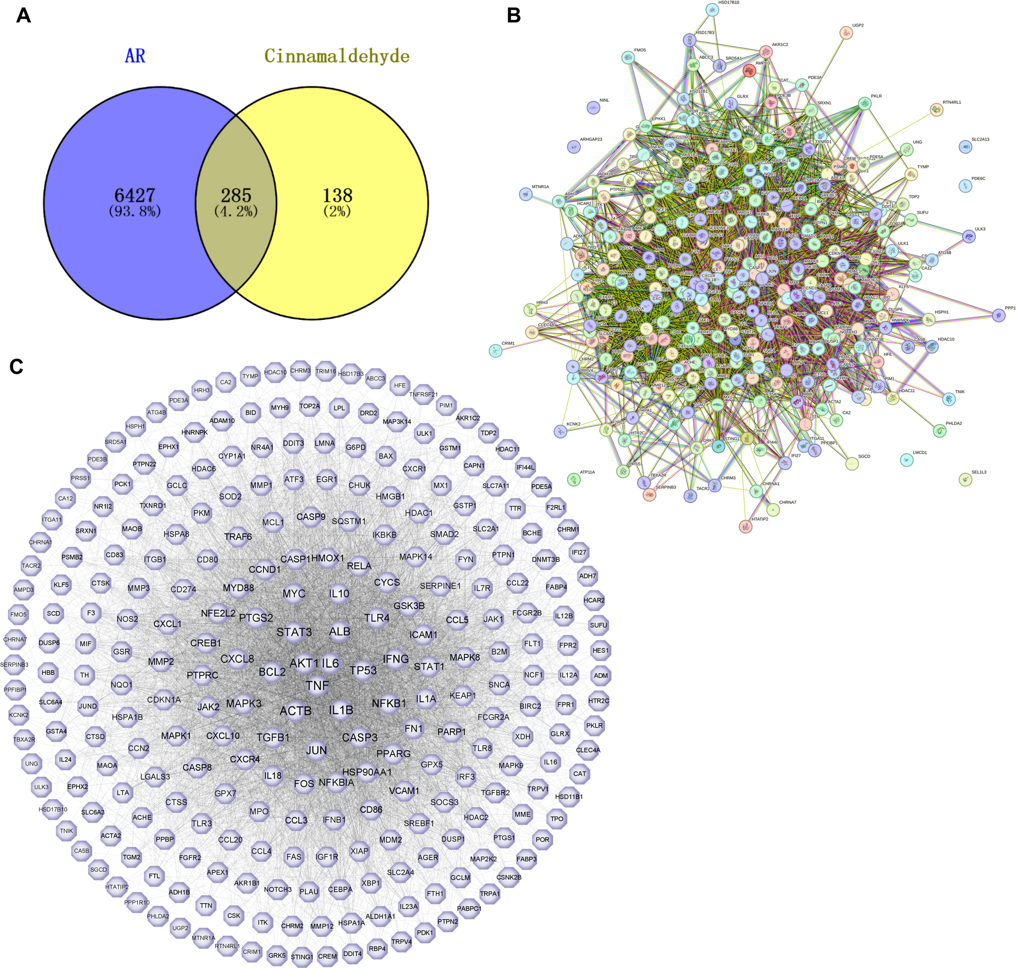 Unraveling the therapeutic mechanisms of cinnamaldehyde in allergic rhinitis: a network Pharmacology and experimental approach