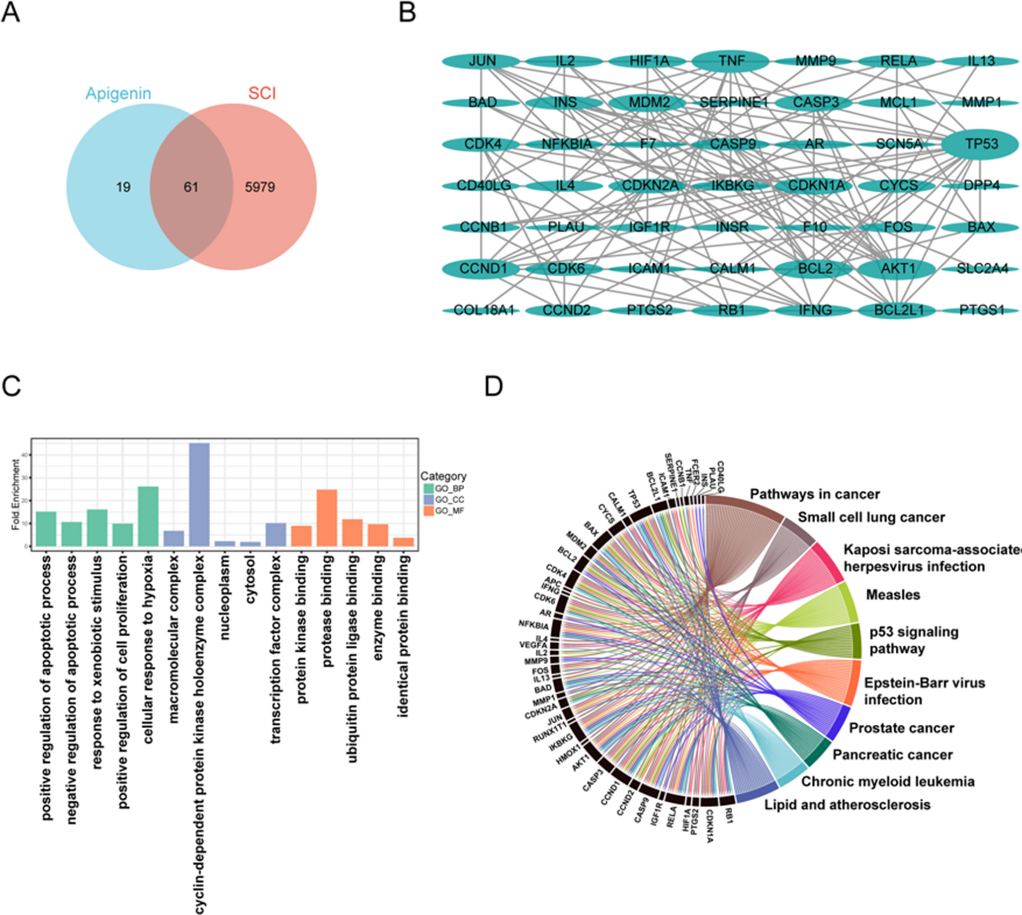 PTGS2 as a potential target for apigenin to promote spinal cord injury repair