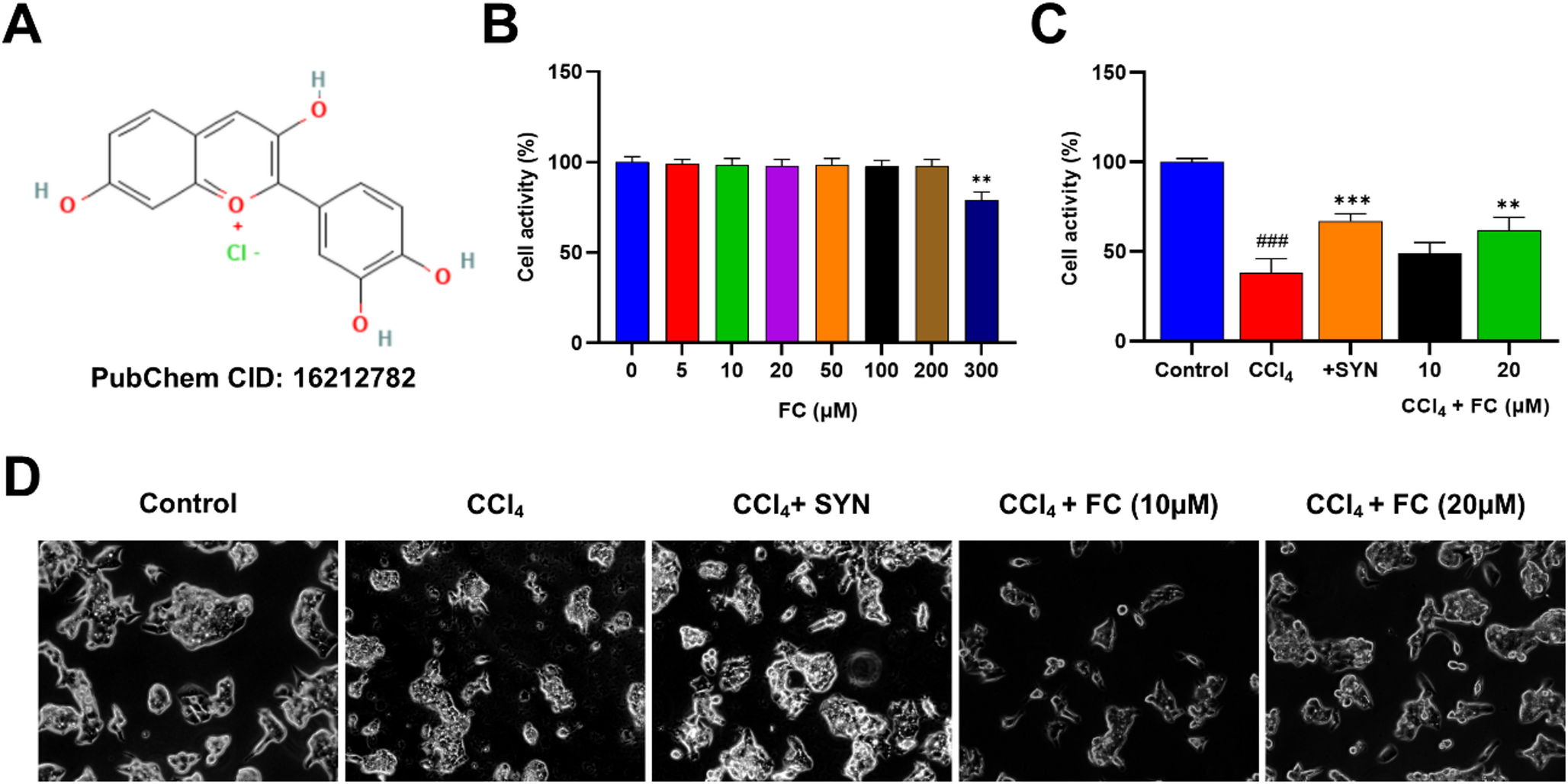 Fisetinidin chloride ameliorates carbon tetrachloride-induced hepatotoxicity in HepaRG cells