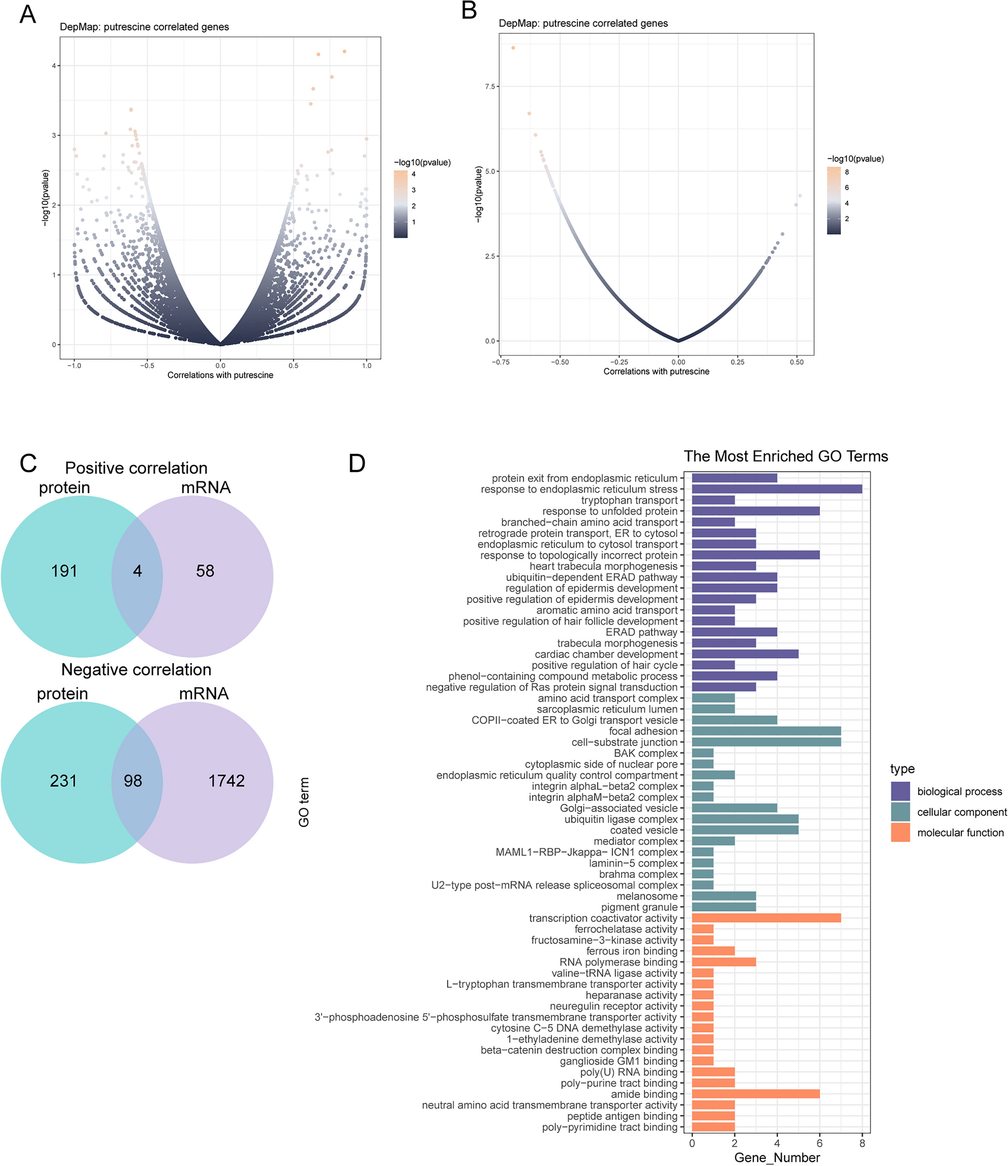 Ubiquitously expressed prefoldin-like chaperone (UXT) regulates putrescine metabolism and promotes colorectal cancer progression