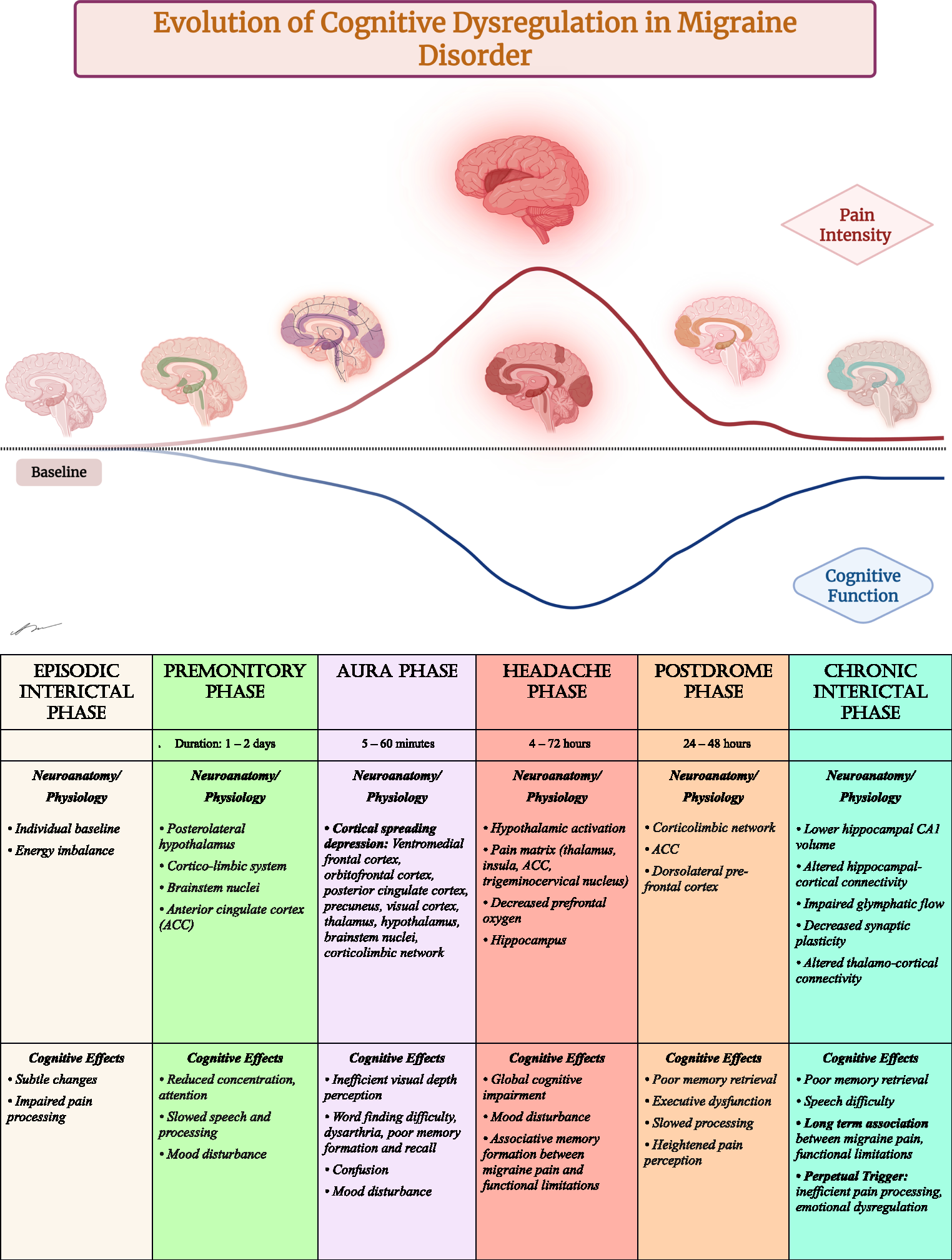 Cognitive Dysfunction in Migraine: Underlying Mechanisms and Clinical Implications