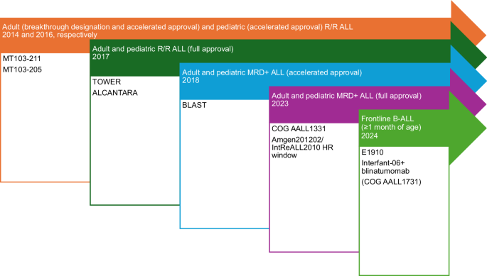 Blinatumomab in pediatric acute lymphoblastic leukemia: current and future use