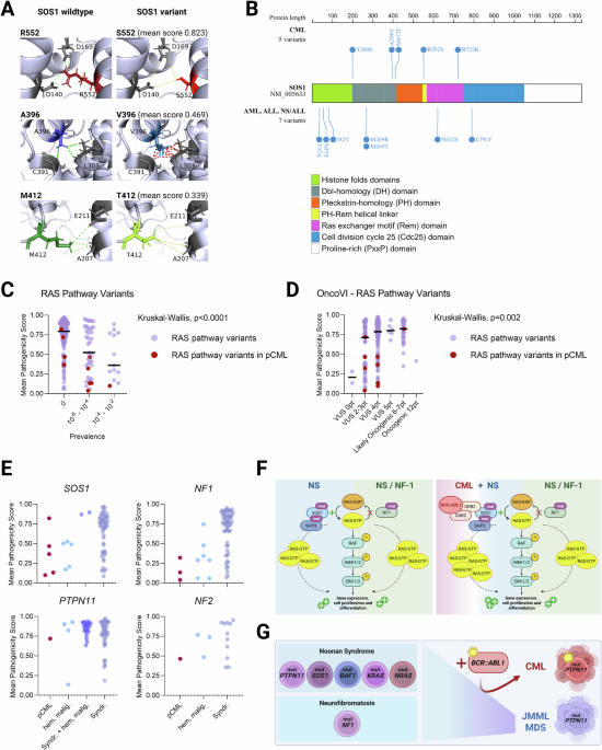 Prevalence and characterization of germline RAS pathway variants in children with chronic myeloid leukemia