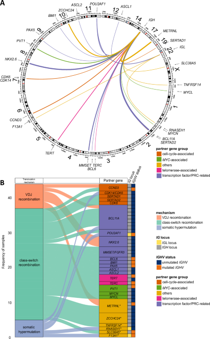 The spectrum of immunoglobulin heavy chain enhancer hijacking in chronic lymphocytic leukemia