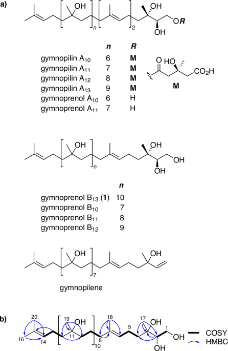 Identification of gymnopilin A10 as an antibacterial agent in Gymnopilus mushrooms and discovery of gymnoprenol B13 from the fruiting bodies of G. orientispectabilis