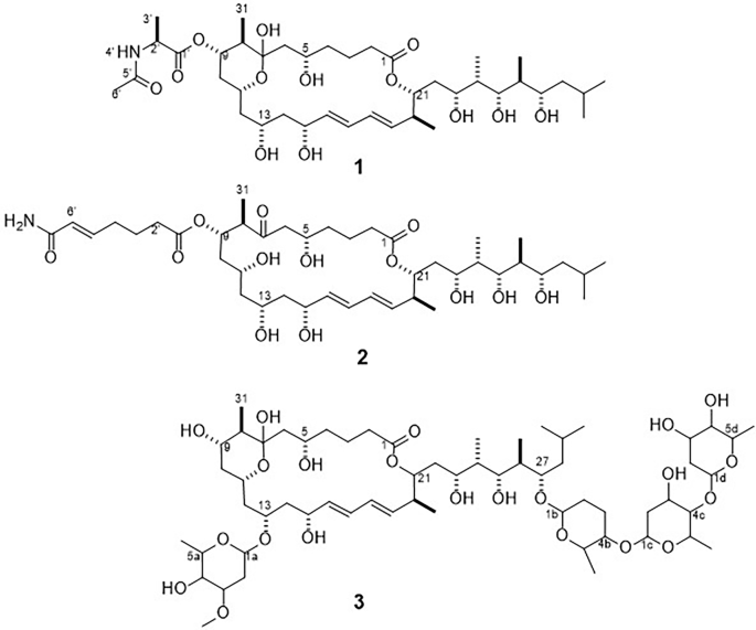 Dactylides D and E, two modified 22-membered polyol macrolides isolated from Dactylosporangium aurantiacum