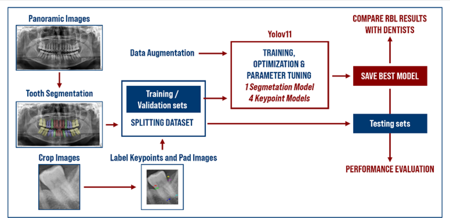 Automated periodontitis diagnosis and staging using an end-to-end deep learning model on panoramic dental radiographs