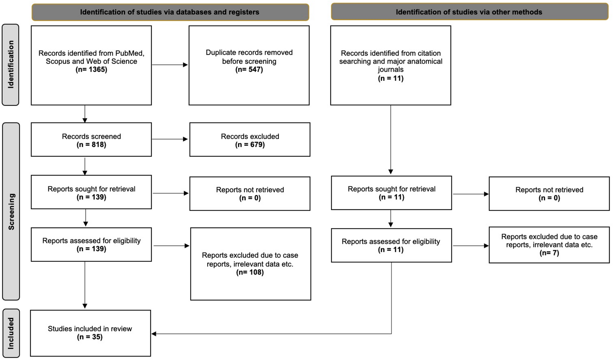 Prevalence of basilar artery variants: a systematic review with meta-analysis of radiological studies