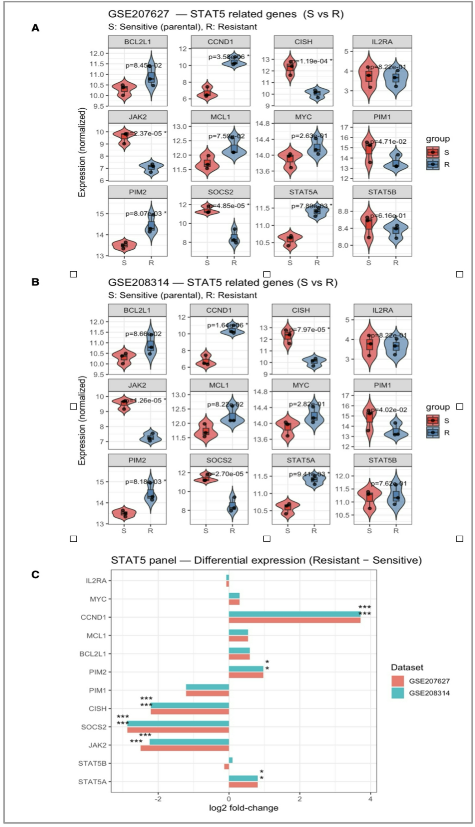 Targeting STAT5A via CRISPR/Cas9 restores TKI sensitivity in resistant chronic myeloid leukemia cells