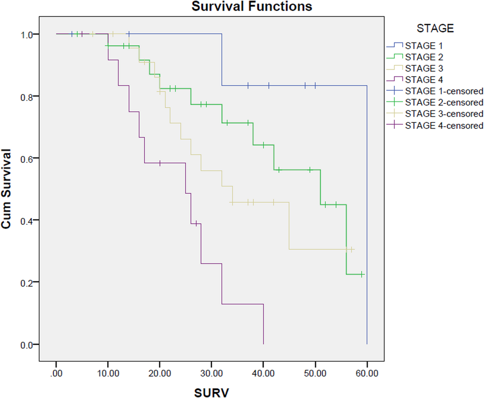 A Decade-Long Experience with Renal Cell Carcinoma: a Single-Institution Review of Clinicopathological Trends and Survival in a Tertiary Care Center in South India