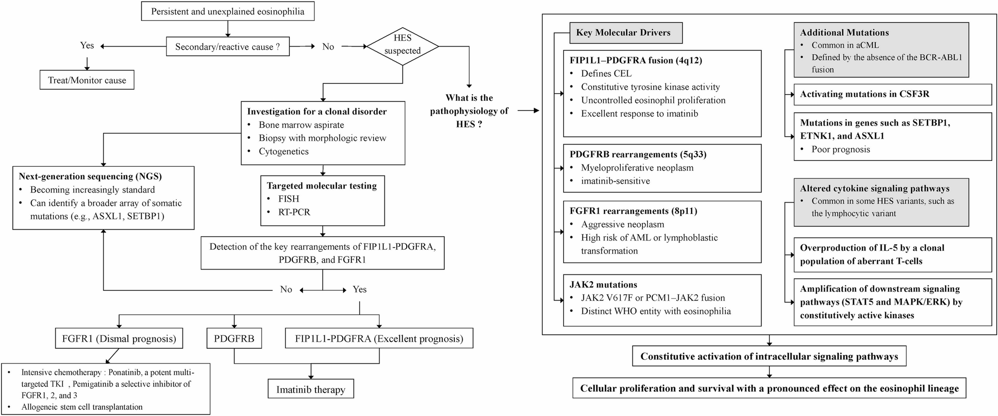 Molecular Pathogenesis and Targeted Therapies for Myeloproliferative Hypereosinophilic Neoplasms