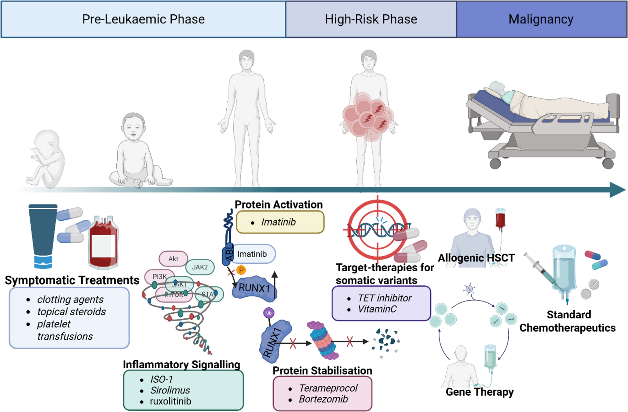 Targeting RUNX1 Germline Variants: Agents Under Investigation