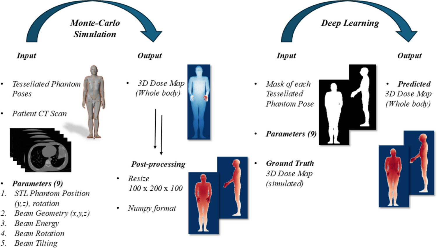 Fast 3D whole-body occupational dose estimation in interventional radiology using physics-informed deep learning